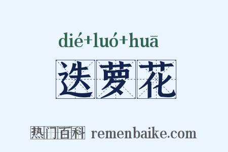 迭萝花是什么意思的图片